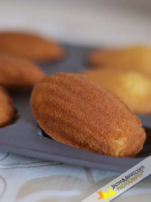 madelines4